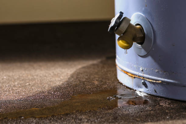 Best Residential water damage restoration  in Wekiwa Springs, FL