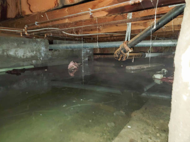 Best Emergency water damage restoration  in Wekiwa Springs, FL