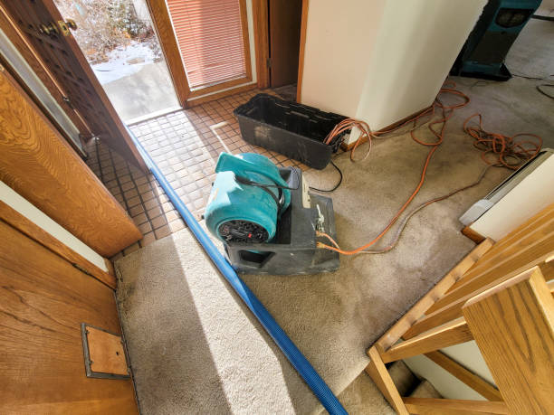 Best Water damage cleanup near me  in Wekiwa Springs, FL