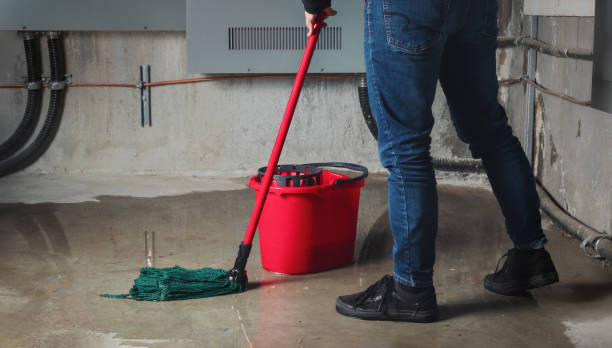 Best Flood restoration services  in Wekiwa Springs, FL