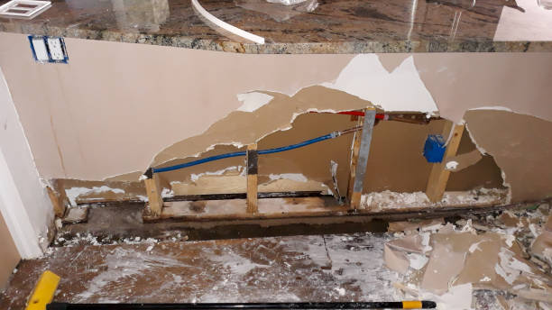 Best Flood damage cleanup  in Wekiwa Springs, FL