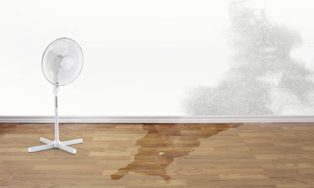 Best Sewage cleanup and water damage restoration  in Wekiwa Springs, FL