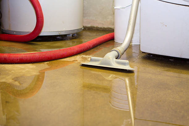 Best 24-hour water damage restoration  in Wekiwa Springs, FL