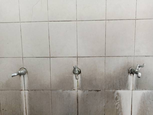 Best Emergency water damage restoration  in Wekiwa Springs, FL