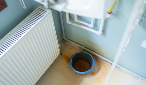 Best Ceiling water damage repair  in Wekiwa Springs, FL