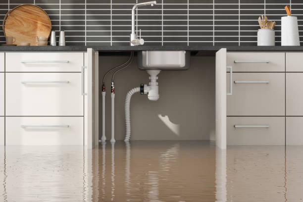 Best Water damage restoration near me  in Wekiwa Springs, FL