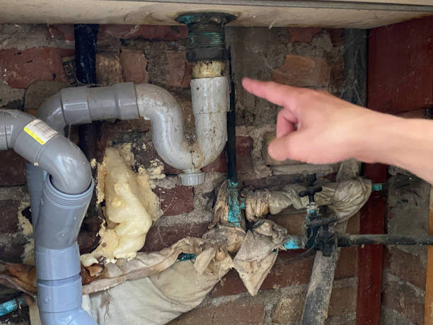 Best Carpet water damage restoration  in Wekiwa Springs, FL