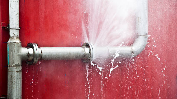  Wekiwa Springs, FL Water damage restoration Pros
